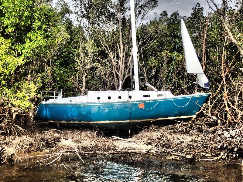 飓风厄玛过后的一艘帆船