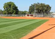 Harold Avenue Regional Park 垒球 Fields